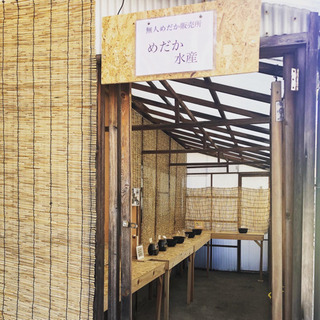 無人めだか販売所