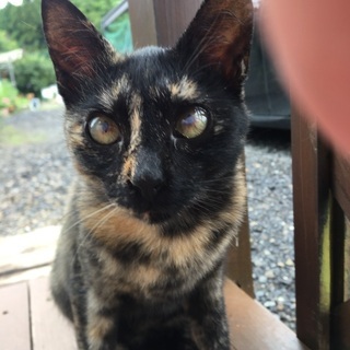 仲良し兄妹