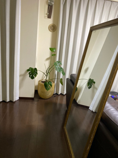 大きな姿見ミラー