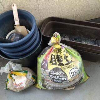 園芸セットの画像