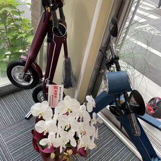 電動バイク、電動キックボード、EV　スクーターの専門店（ご試乗、レンタル、販売） − 東京都