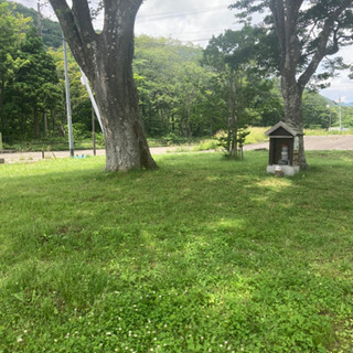 ブラっと散歩でもしませんか？🙂