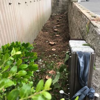 空いている日教えて下さい！草刈り、剪定、伐採、解体、片付け10000円～の画像