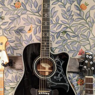 Epiphone（エピフォン） Dave Navarro Sig...