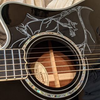 Epiphone（エピフォン） Dave Navarro Signatureの画像