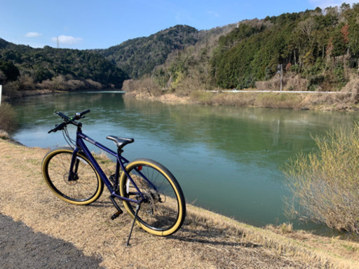 【お話中】ジャイアントグラビエディスク