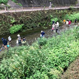【練馬区】石神井川で遊ぼう！「実践的大人の自然体験塾」説明会 【...