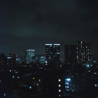 散歩仲間