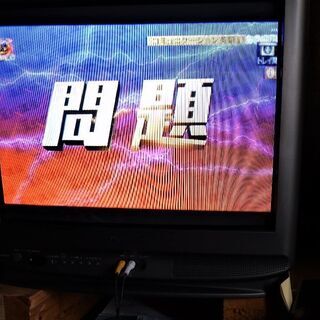 パナソニック　TH-21ZS3の画像