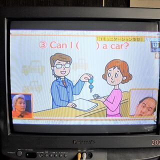 パナソニック　TH-21ZS3の画像