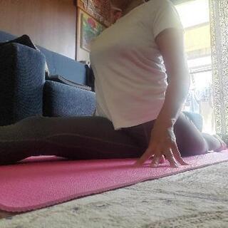 🧘‍♀️ヨガレッスン依頼募集🧘‍♀️の画像