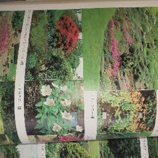 山野草！自然のクスリ本３冊！の画像