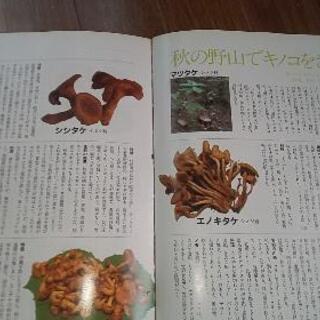山野草！自然のクスリ本３冊！の画像