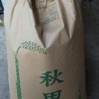 秋田こまち30キロ