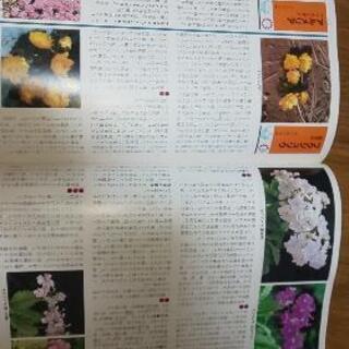 園芸本２冊！家庭菜園好きな方どうですか？の画像