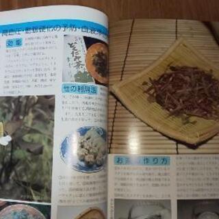 健康茶本！ハーブ本２冊！の画像