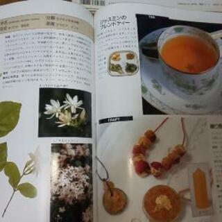 健康茶本！ハーブ本２冊！の画像
