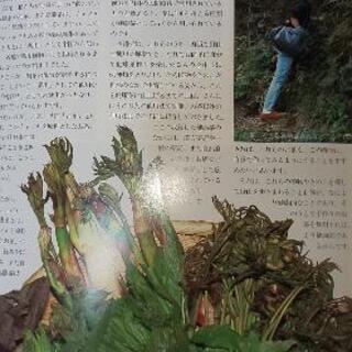 健康茶本！ハーブ本２冊！の画像
