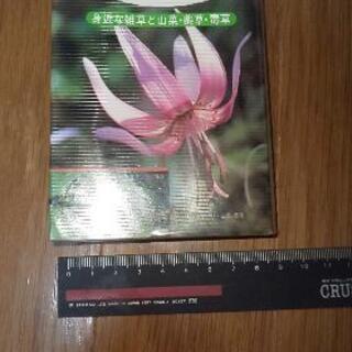 山野草ポケット図鑑縦15㎝横8、5㎝