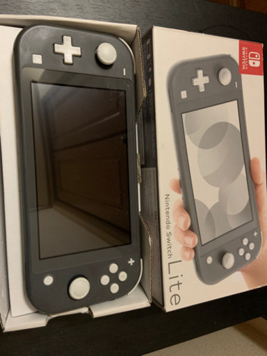 ニンテンドー　Switchライト　(交渉中)