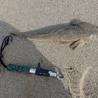 海釣り一緒にしませんか？ - 大崎市