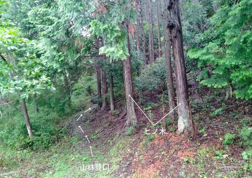 山林売ります・平地・畑も含む キャンプ・農園・ヒノ木細工