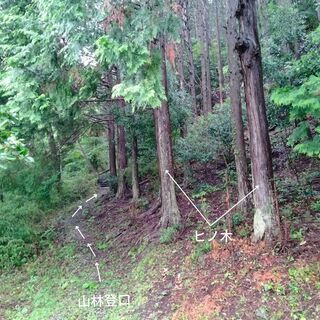 山林売ります・平地・畑も含む  キャンプ・農園・ヒノ木細工・ロッ...