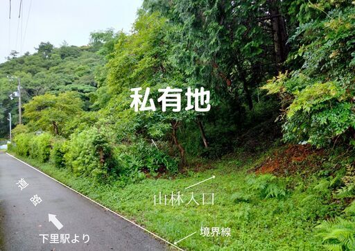 山林売ります・平地・畑も含む キャンプ・農園・ヒノ木細工
