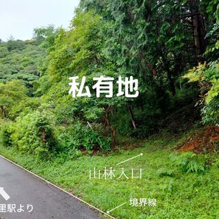 山林売ります・平地・畑も含む  キャンプ・農園・ヒノ木細工・ロッジ・田舎暮らし・アトリエ等 山林売ります・平地・畑も含む キャンプ・農園・ヒノ木細工・ロッジ