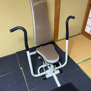Alexia Plus チェスト＆バック 油圧マシン 女性用フィ...