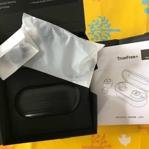 【右耳ジャンク品】右耳以外全て揃っている美品です