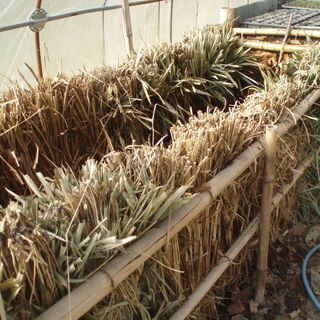 田舎で自給自足生活しませんか。　農的共同体プロジェクト 立ち上げ...