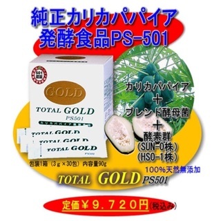 パパイヤ発酵食品　