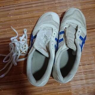 取引中  水戸農業高校　体育館シューズ　27.0ｃｍ