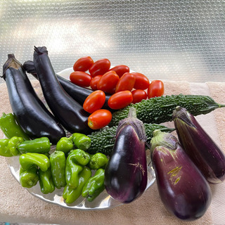 夏野菜　ナス2種他