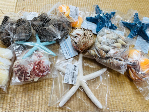 【貝殻】貝★巻き貝★ヒトデ★クラフト★工作★インテリア★オブジェ★流木★トレイ★セット売り