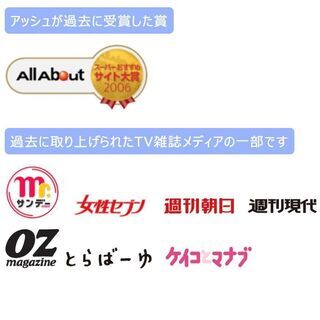 ０８月０１日(日)１７：００📍富山市⭐一人限定飲み会⭐婚活・恋活...