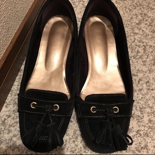 ワシントン　23センチ　