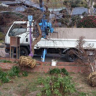 🌱【近くの植木屋さん】🌿庭の便利屋 植木.石.灯篭.物置.倉庫.など庭の物.移動します。遠賀郡:鞍手郡:宗像市:福津市:宮若市:中間市:直方市:北九州市西部対応。の画像