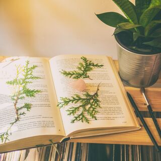 隠れHSPさん集いの場🌿