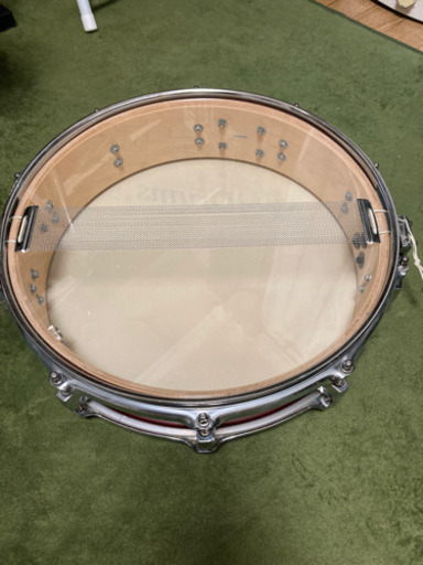 (商談中) スネア Negi