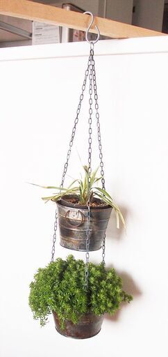 吊り下げ式　シャビ―な２連プランター　植物付き２