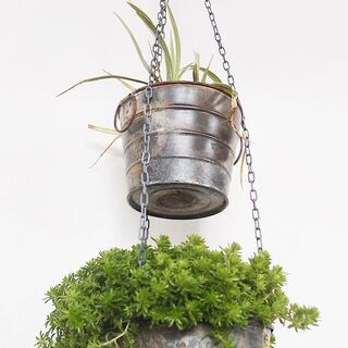 吊り下げ式　シャビ―な２連プランター　植物付き２の画像