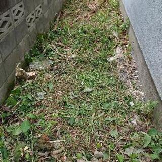 自宅周りの雑草にお困りの方！