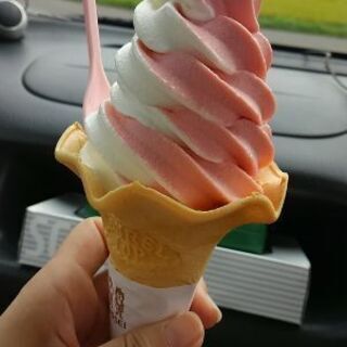 旭川市内に住んでる女の人限定