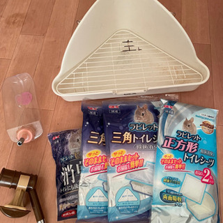 うさぎ　小動物　トイレ　ウォーターサーバー