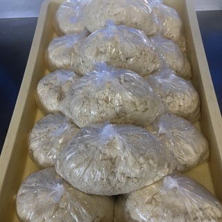 魚釣りの撒き餌のトッピングにいかが？
