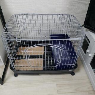 小動物用ケージ　譲りますの画像