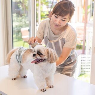 【新規立ち上げ】ペットに関するインストラクターを募集中！（オンライン）