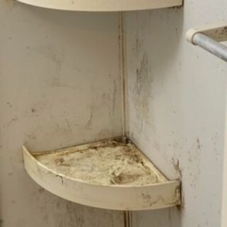 【頑固なカビ・水垢もおまかせください！】格安お風呂掃除10000円